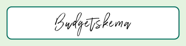 Budgetskema - få overblik og ro i maven